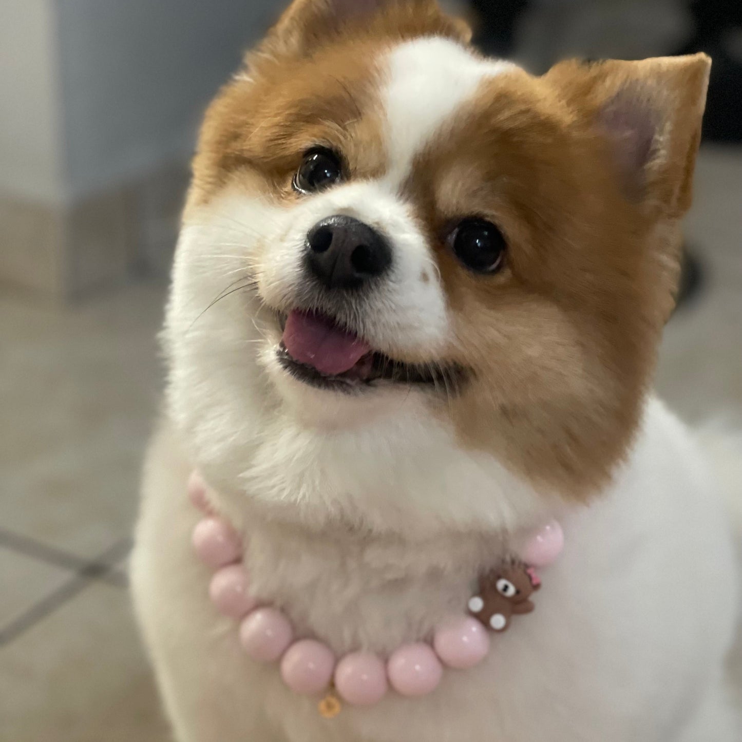Teddy Bear Necklace