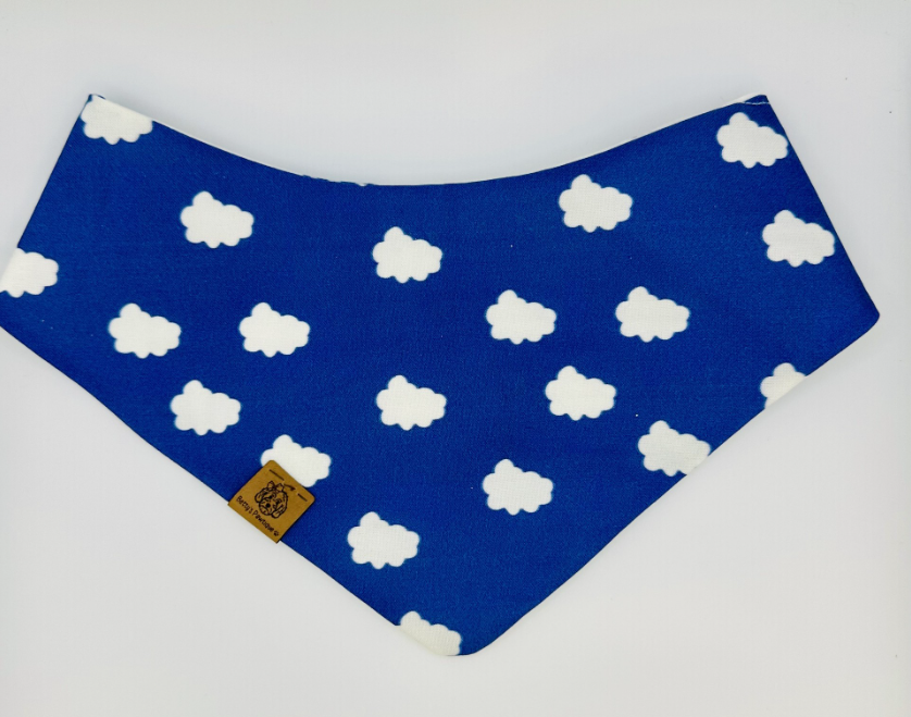 Soaring Skies Bandana