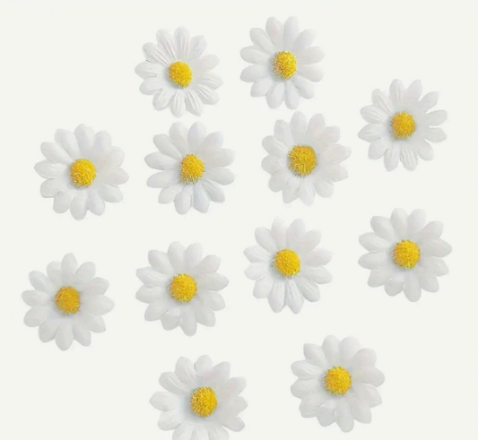 Daisy Bows