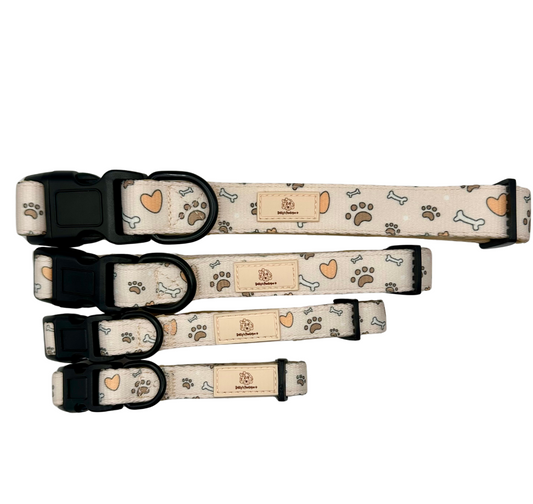 Sandy Paws Collars