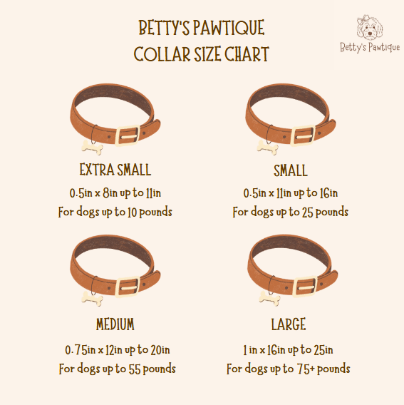 Sandy Paws Bundle