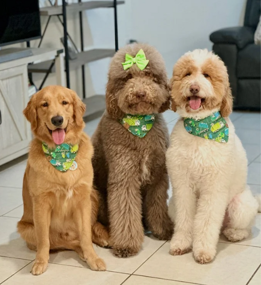 Certified Trash Inspector Bandana