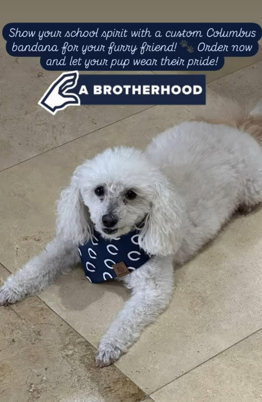 Columbus Bandanas