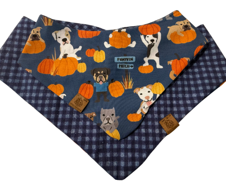 Midnight Pumpkin Party