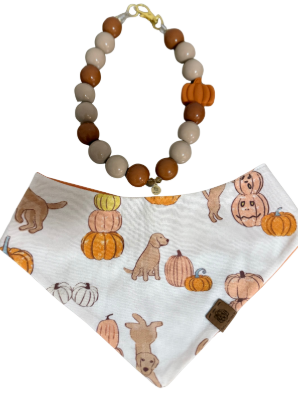 Harvest Pupkin Patch Bandana