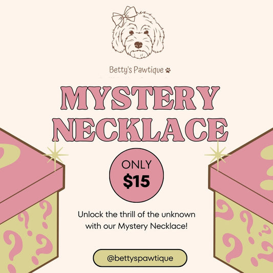 Mystery Necklace