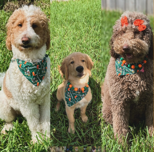 UM Bandana