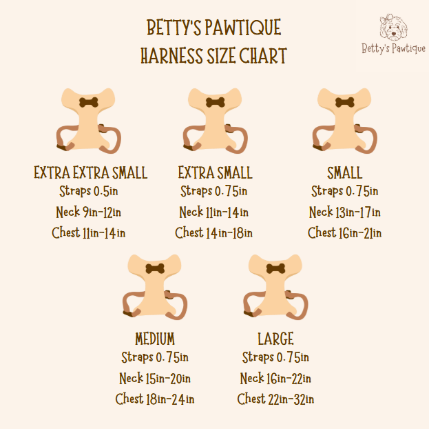 Sandy Paws Bundle