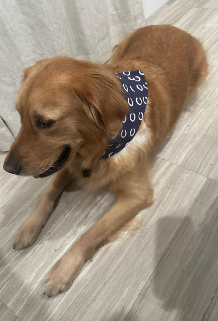 Columbus Bandanas
