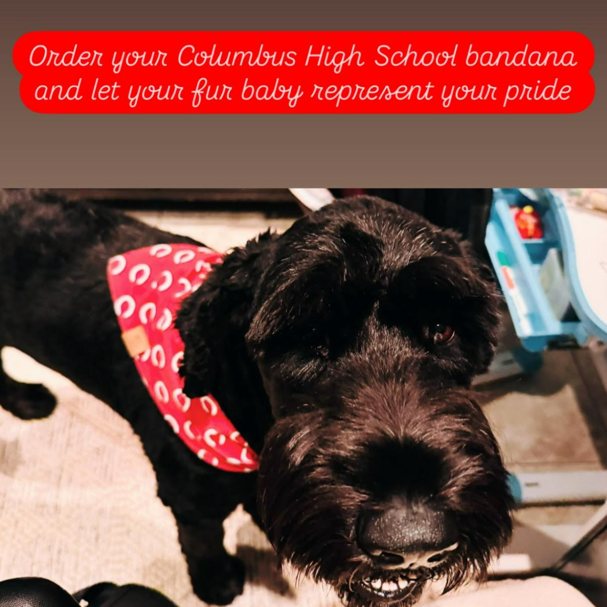 Columbus Bandanas