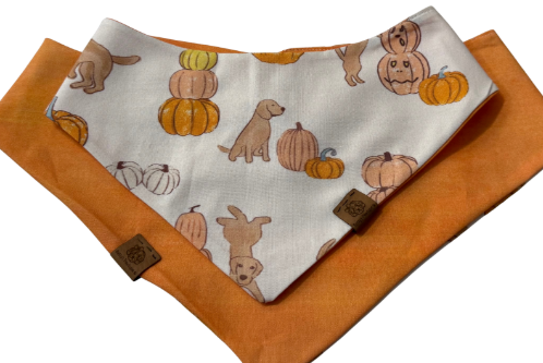 Harvest Pupkin Patch Bandana