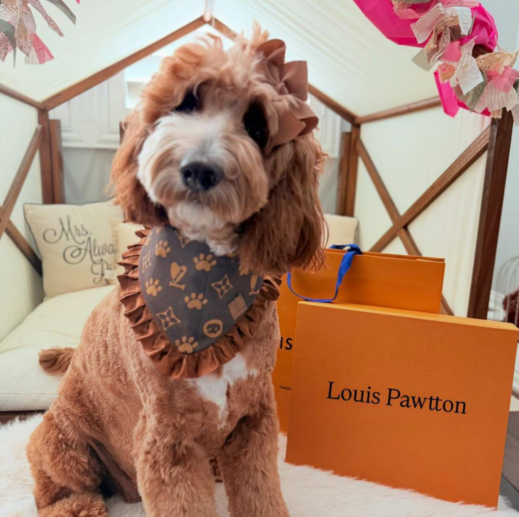 Chewy Vuitton Bandana