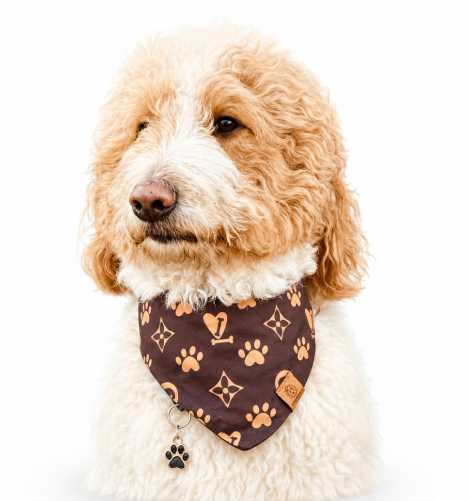 Chewy Vuitton Bandana