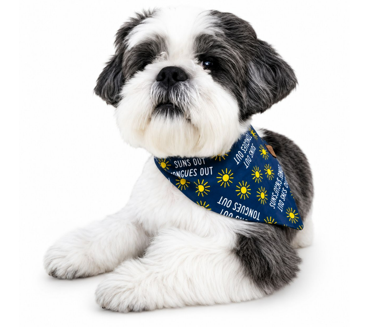 Suns Out, Tongues Out Bandana