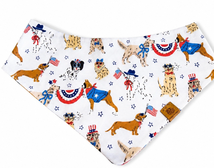USA Bandana