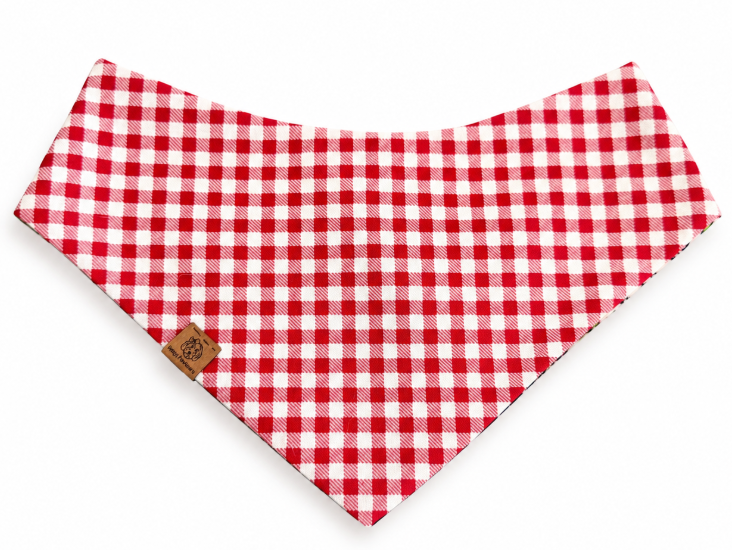 Coastal Cruiser Bandana